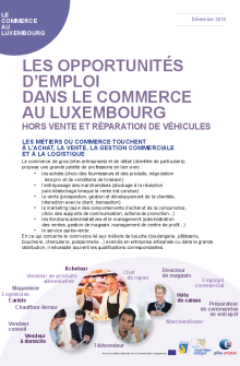 2017 Secteur Commerce Luxembourg
